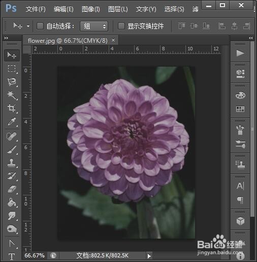 PS调整校正照片