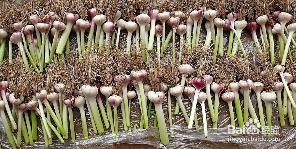 这几种食物常吃会加速掉头发