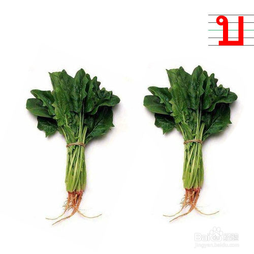 形象有趣的记忆方法学习泰语中辅音