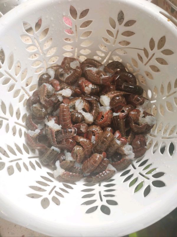 蒜蓉咖喱小龙虾