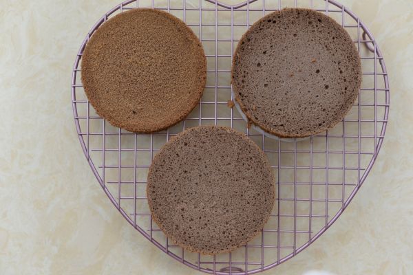 可可水果裸蛋糕