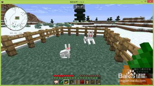 我的世界怎么养兔子