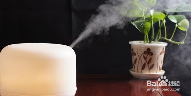 冬天如何脸部保湿