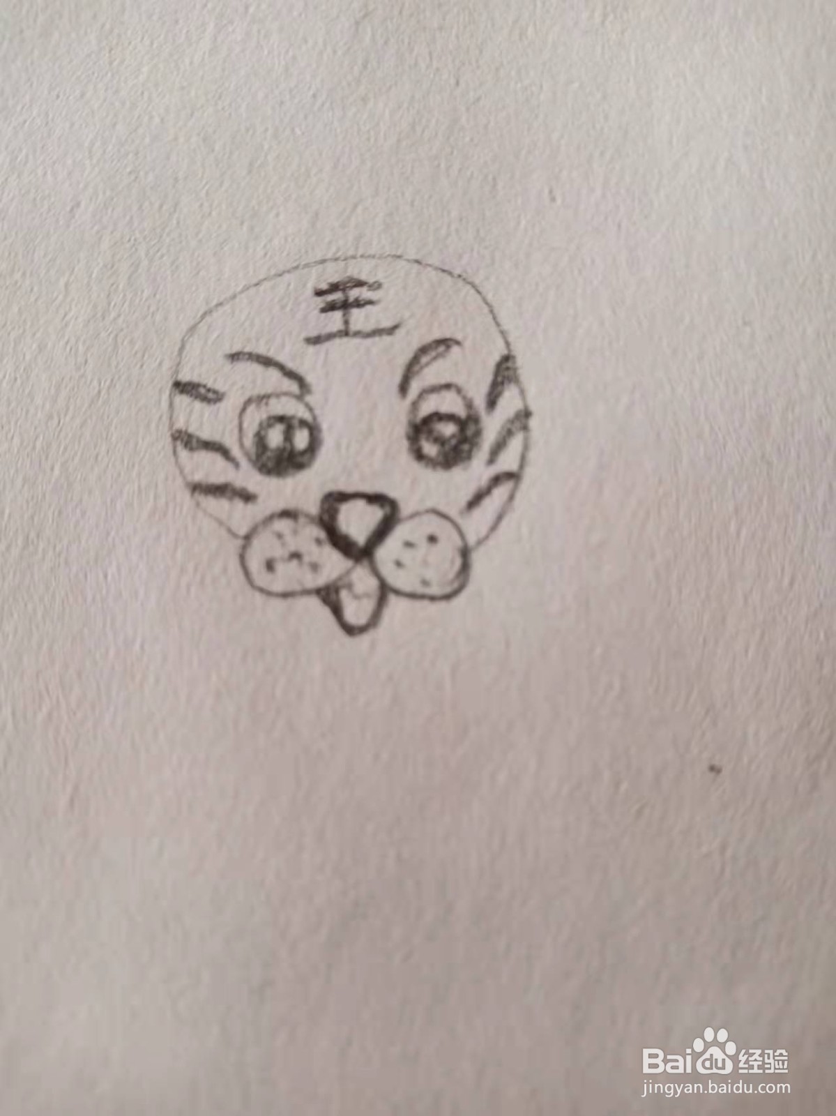 小老虎简笔画