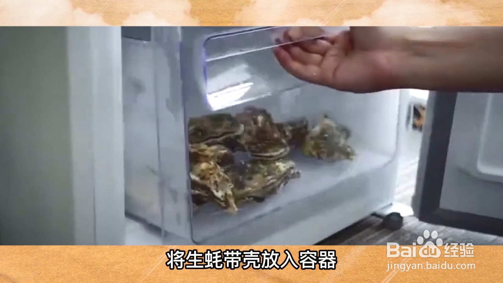 活生蚝怎么保存