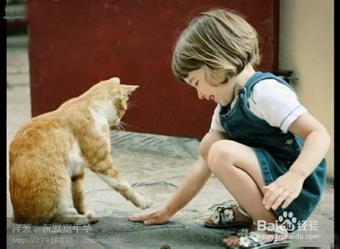 胆子小的孩子怎么培养