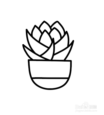 如何画出简笔画多肉