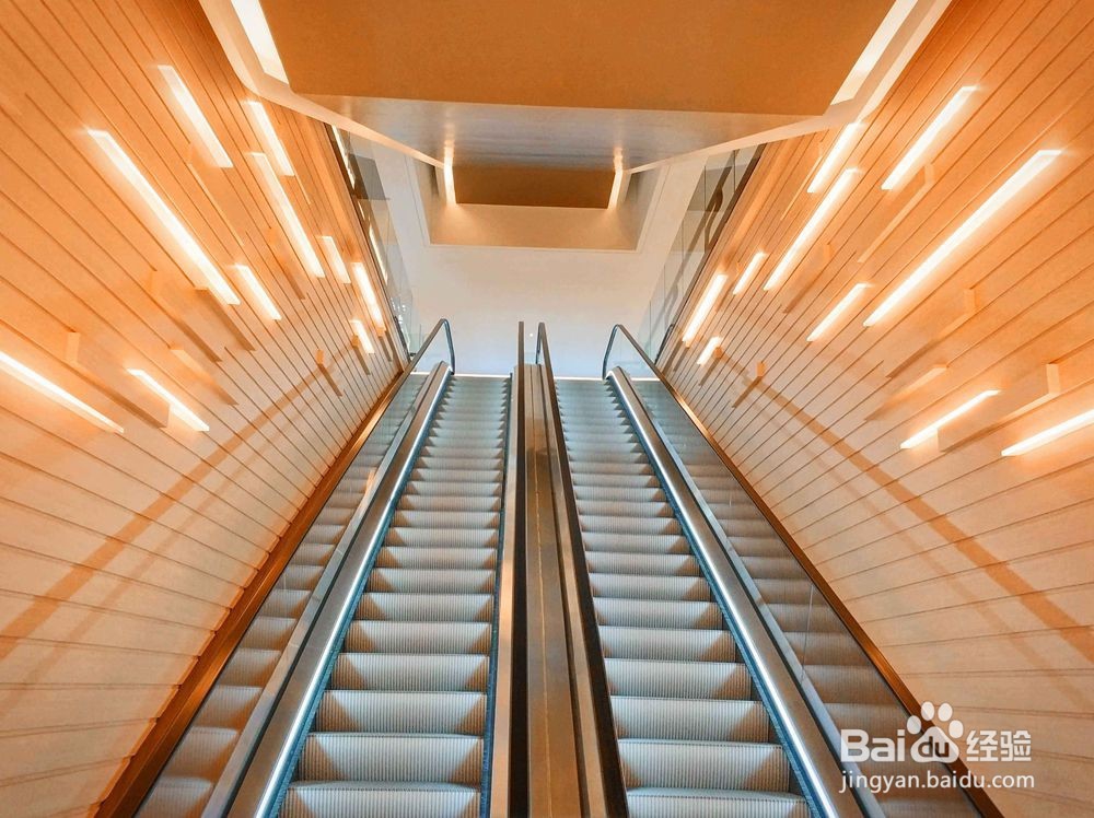 【摄影技巧】初级摄影构图四要素