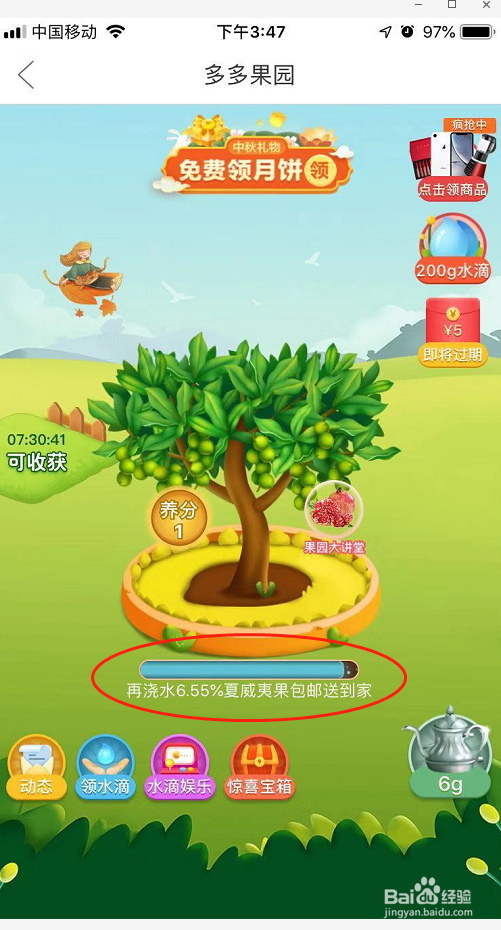 拼多多在多多果园种的水果树,果实送回来要钱吗?