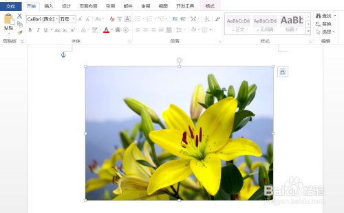 word插入图片后可移动