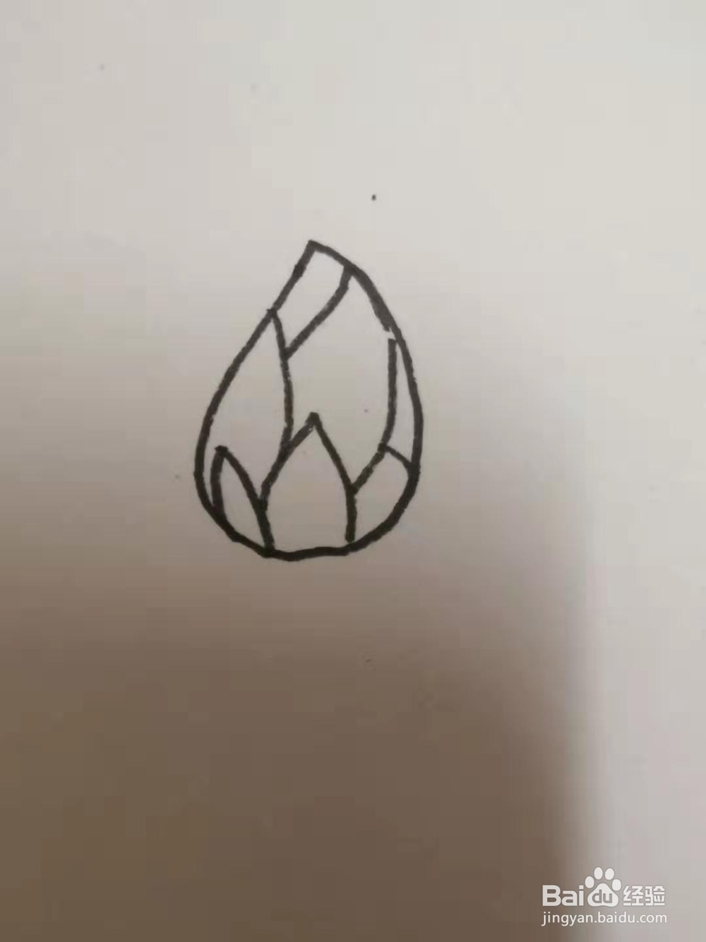 如何画荷花的速写