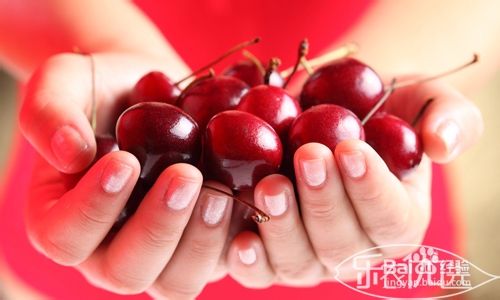 烟台大樱桃美早