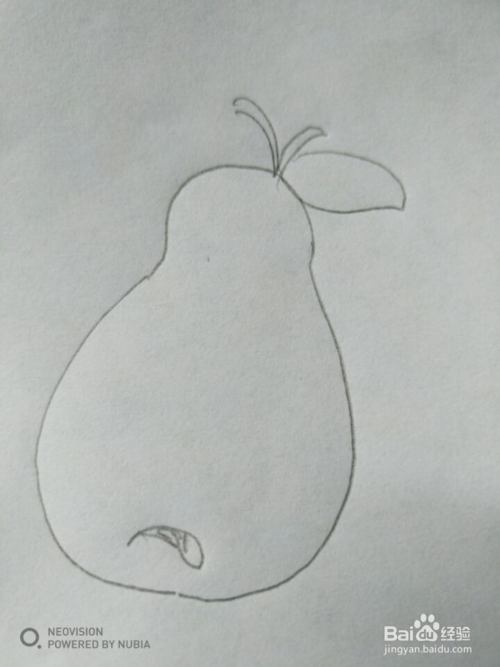 简单的梨子怎么画(五)