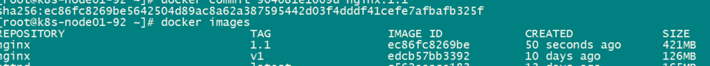 构建nginx docker容器镜像方法