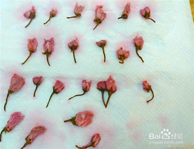 如何做生乳蛋糕卷