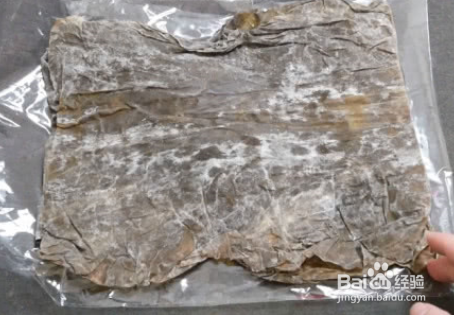 什么样的海带不能吃