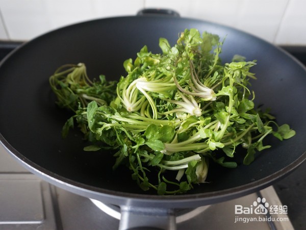 荠菜炒肉丝怎么做？