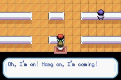 口袋妖怪圣灰攻略图片5