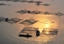 夏天做“空中飞人”