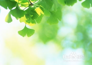 购买化妆品时的注意事项以及怎样选择和购买