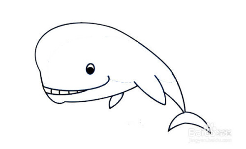 抹香鲸简笔画