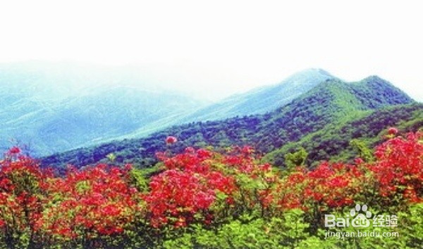 新余有哪些好玩的地方