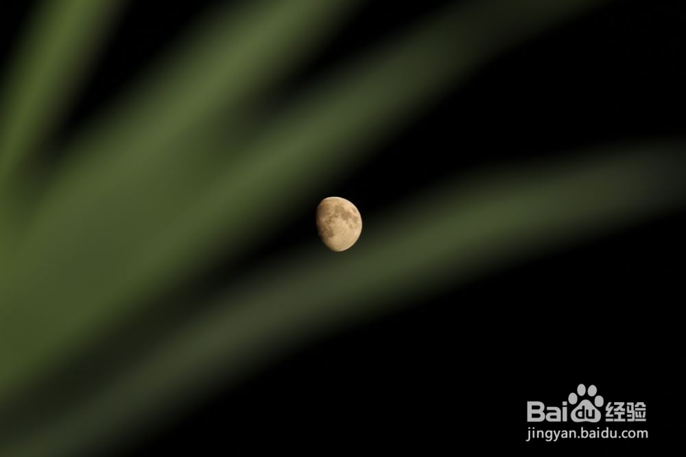 如何给晚上的月亮加上一层背景（摄月教学）