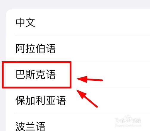 iPhone14如何设置朗读内容为巴斯克语的名字