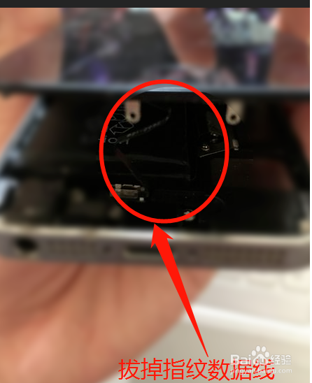 苹果x有反应但是黑屏?