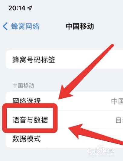 苹果手机发语音闷闷的声音?