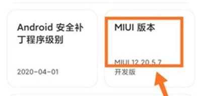 小米12开发者选项在哪里呢