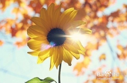 考研党：如何为保研做一些准备