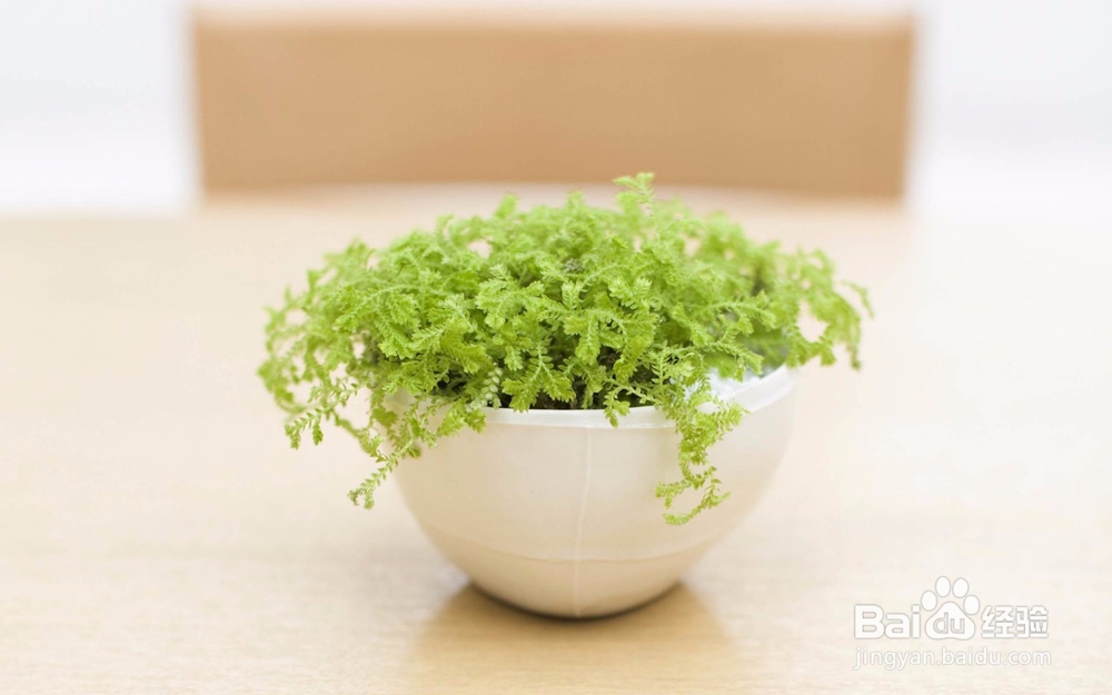 职场女性工作累了怎么办？