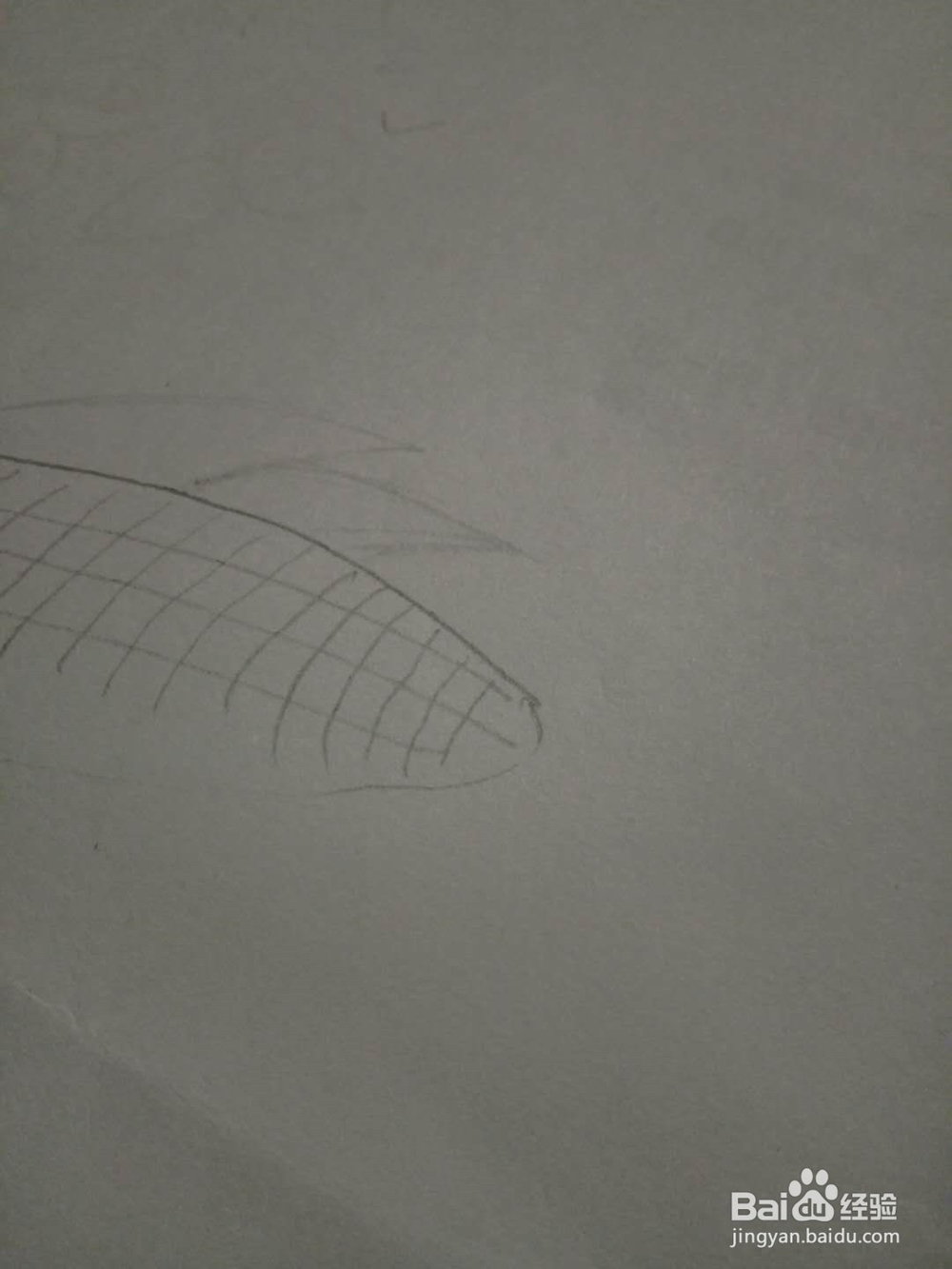 简笔画玉米棒的画法