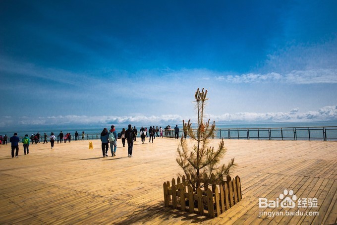 青海湖租电动摩托车环湖骑行攻略