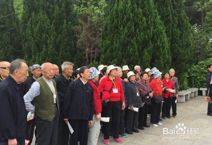 老人自己去旅游好还是跟团好