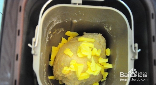 怎么做家常蜜枣小面包