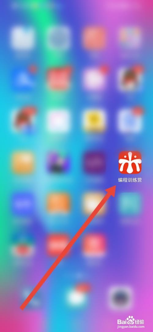 如何使用编程训练营APP查看介绍？