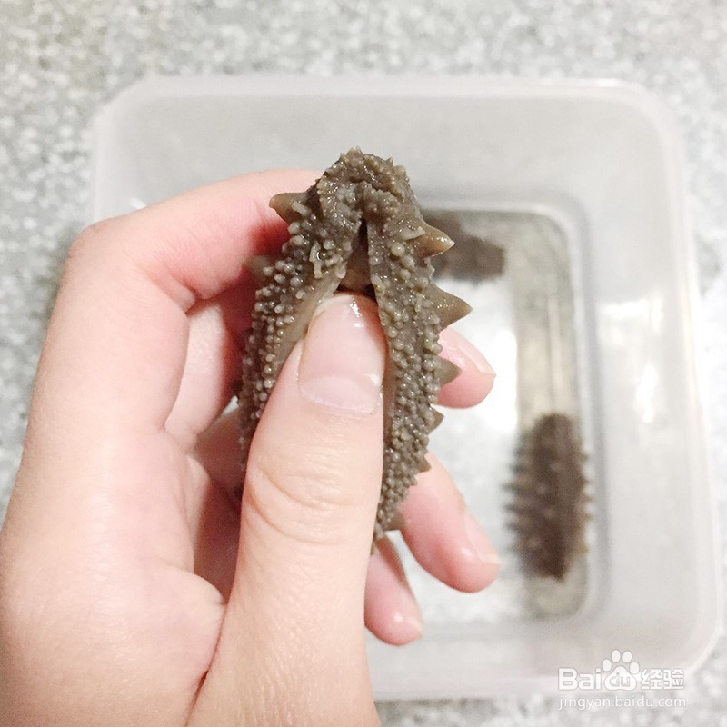 揭秘：为什么干海参怎么泡发都不大的原因