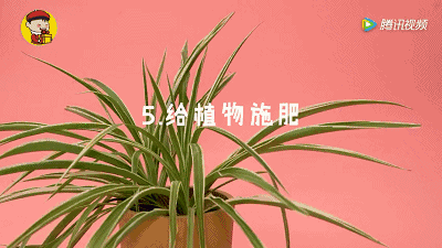 这些东西过期了千万别扔，不然让你超后悔！