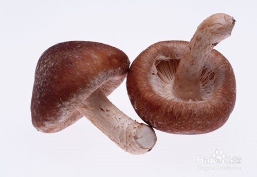 怎样洗菜才更健康