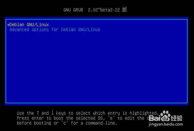 Debian系统安装教程