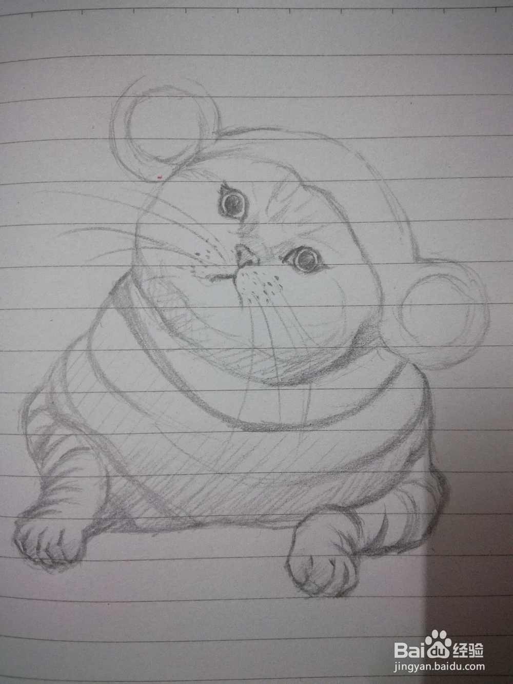 《小虎猫》手绘插画教程