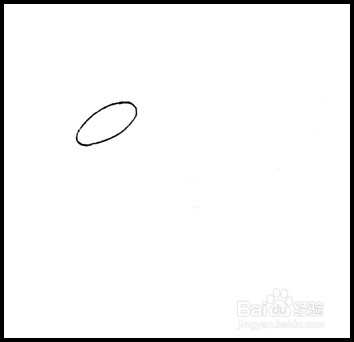 怎样画简笔画（花卉）：[8]菊花1