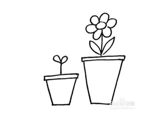 如何画小花的卡通简笔画教程