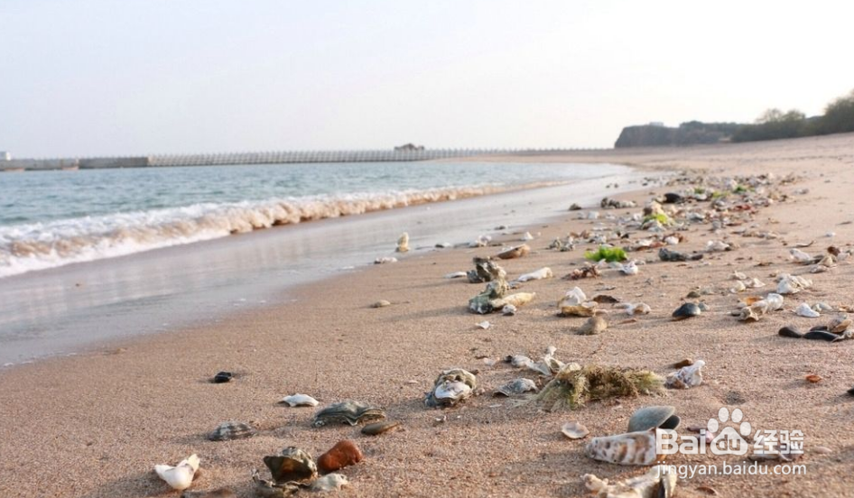 大连旅游攻略自助游