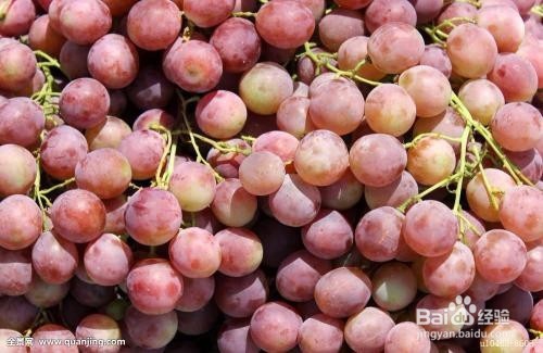 吃哪些食物可以美白牙齿,介绍美白牙齿的食物