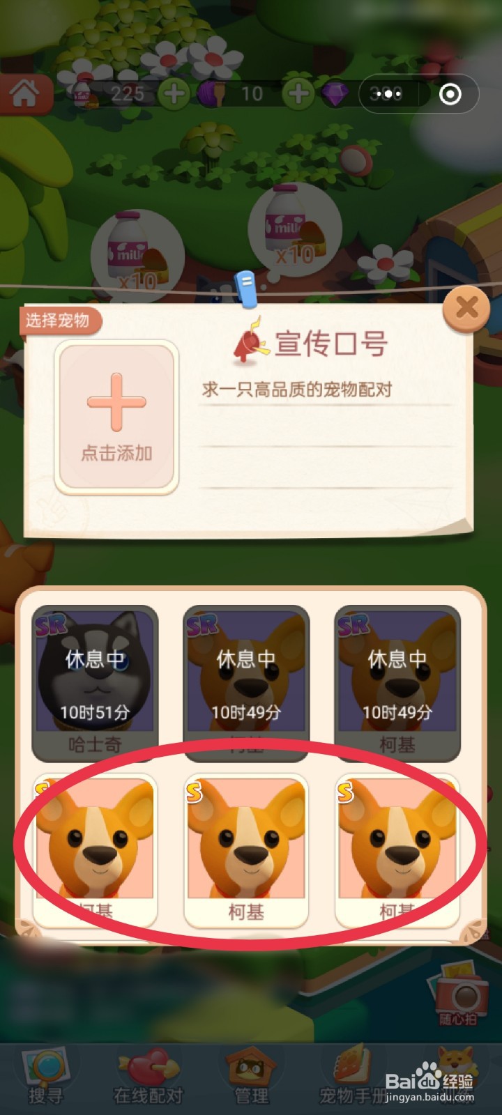 山海小镇如何“发送”宠物配对消息