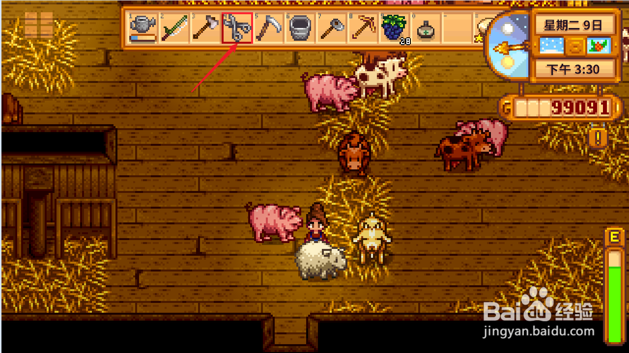 星露谷物语怎么剪羊毛