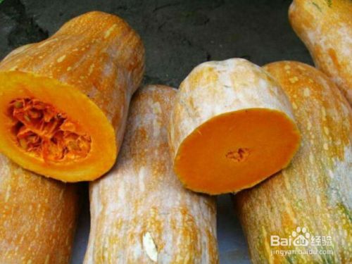 好吃的南瓜品种有哪些 百度经验 好吃的南瓜品种有哪些 百度经验